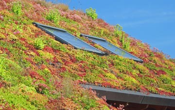 Weston Under Wetherley living roof systems