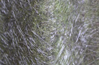 Weston Under Wetherley fibreglass roof work